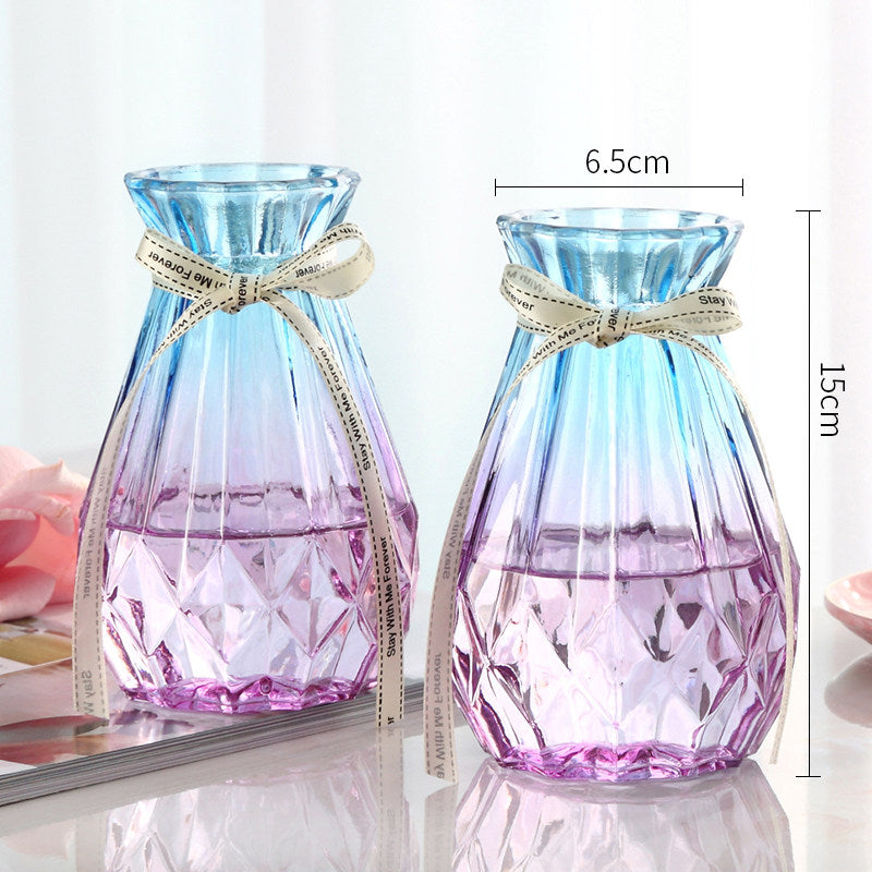 Set of 2 Clear Glass Vases – Hydroponic Plant &amp; Flower Display Decor