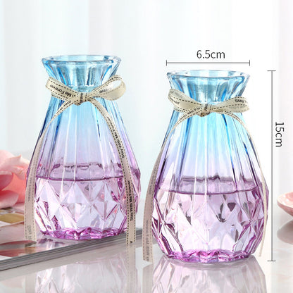 Set of 2 Clear Glass Vases – Hydroponic Plant &amp; Flower Display Decor