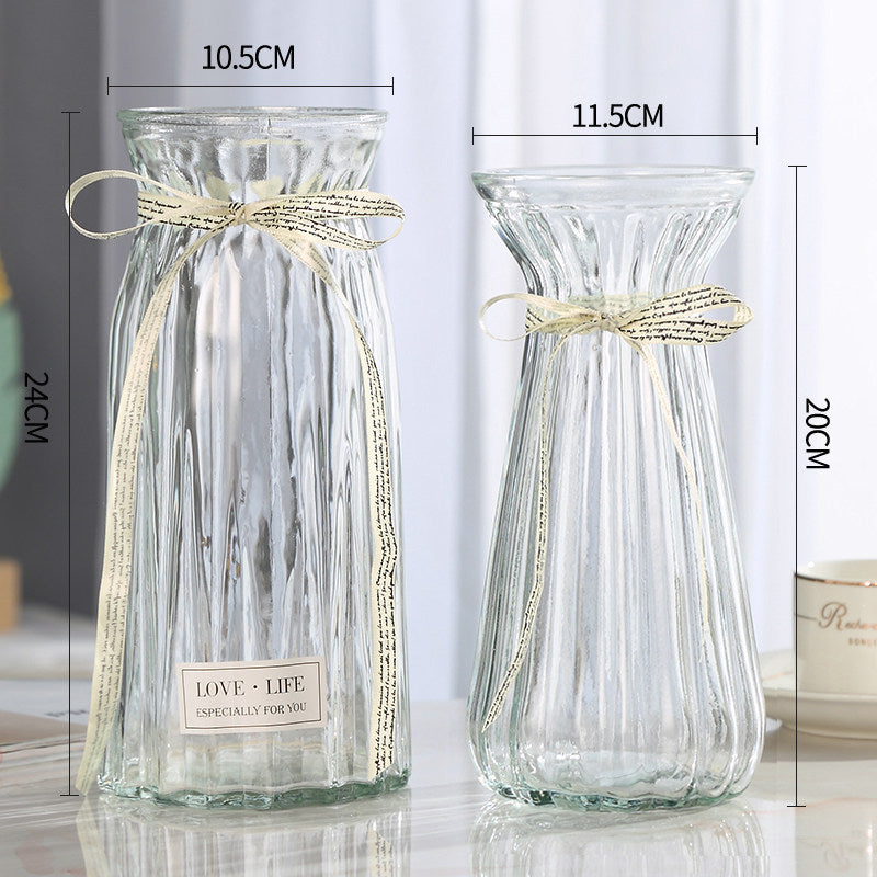 Set of 2 Clear Glass Vases – Hydroponic Plant &amp; Flower Display Decor