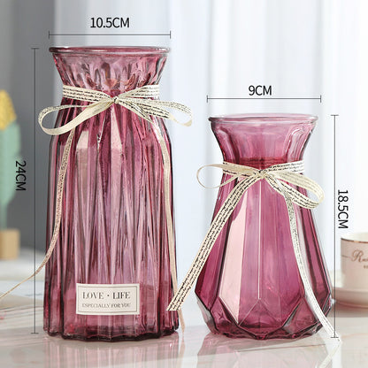 Set of 2 Clear Glass Vases – Hydroponic Plant &amp; Flower Display Decor