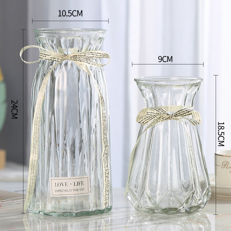 Set of 2 Clear Glass Vases – Hydroponic Plant &amp; Flower Display Decor