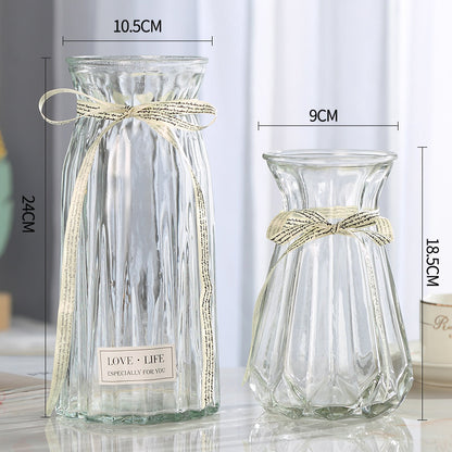 Set of 2 Clear Glass Vases – Hydroponic Plant &amp; Flower Display Decor