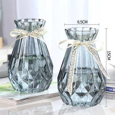 Set of 2 Clear Glass Vases – Hydroponic Plant &amp; Flower Display Decor