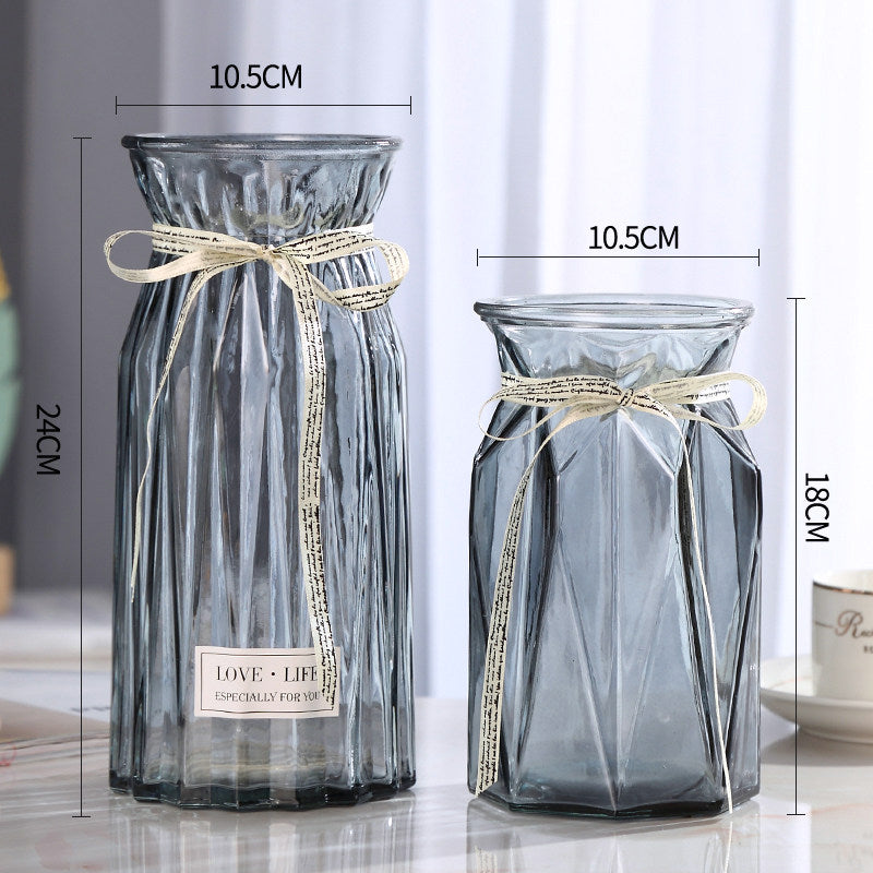 Set of 2 Clear Glass Vases – Hydroponic Plant &amp; Flower Display Decor