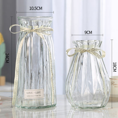 Set of 2 Clear Glass Vases – Hydroponic Plant &amp; Flower Display Decor