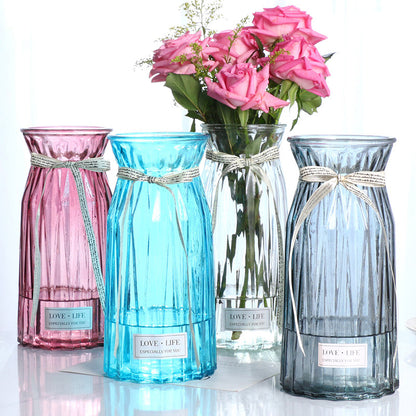 Set of 2 Clear Glass Vases – Hydroponic Plant &amp; Flower Display Decor