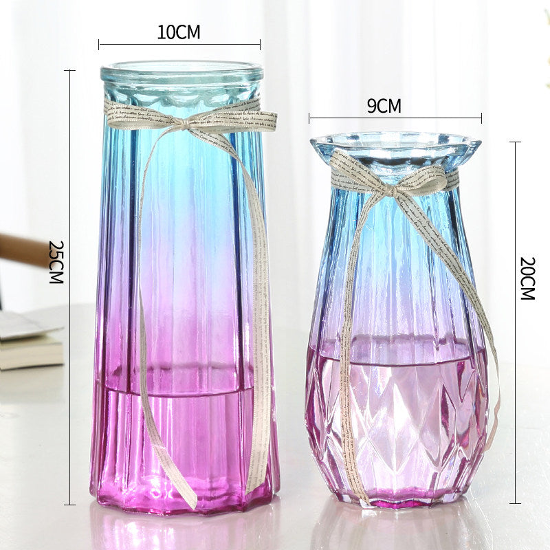 Set of 2 Clear Glass Vases – Hydroponic Plant &amp; Flower Display Decor