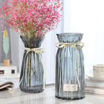 Set of 2 Clear Glass Vases – Hydroponic Plant &amp; Flower Display Decor
