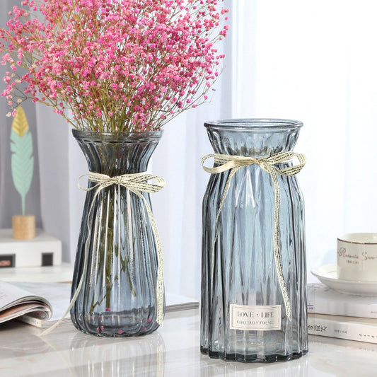 Set of 2 Clear Glass Vases – Hydroponic Plant &amp; Flower Display Decor