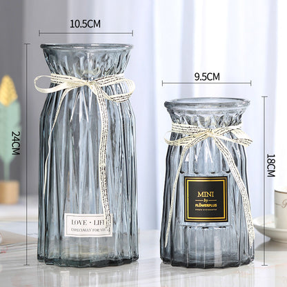 Set of 2 Clear Glass Vases – Hydroponic Plant &amp; Flower Display Decor